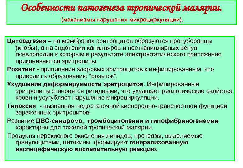 Особенности патогенеза тропической малярии. (механизмы нарушения микроциркуляции). Цитоадгезия – на мембранах эритроцитов образуются протуберанцы