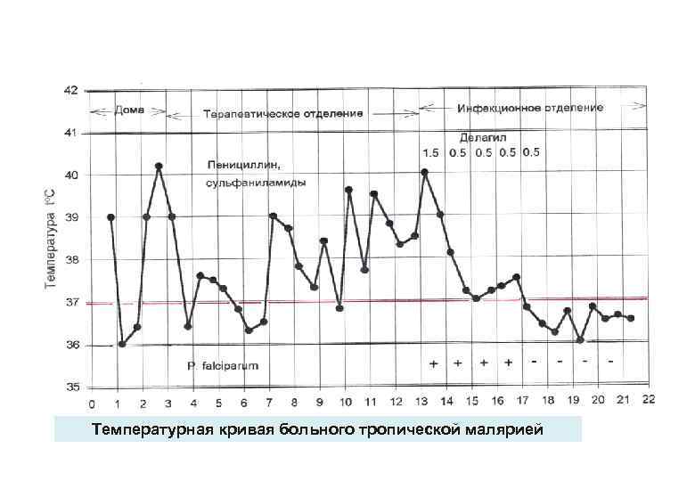 Температурная кривая больного тропической малярией 