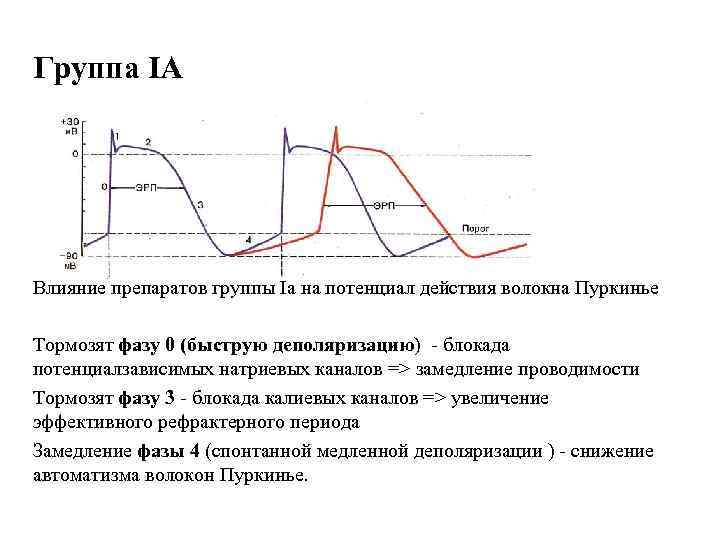 Группа IА Влияние препаратов группы Ia на потенциал действия волокна Пуркинье Тормозят фазу 0