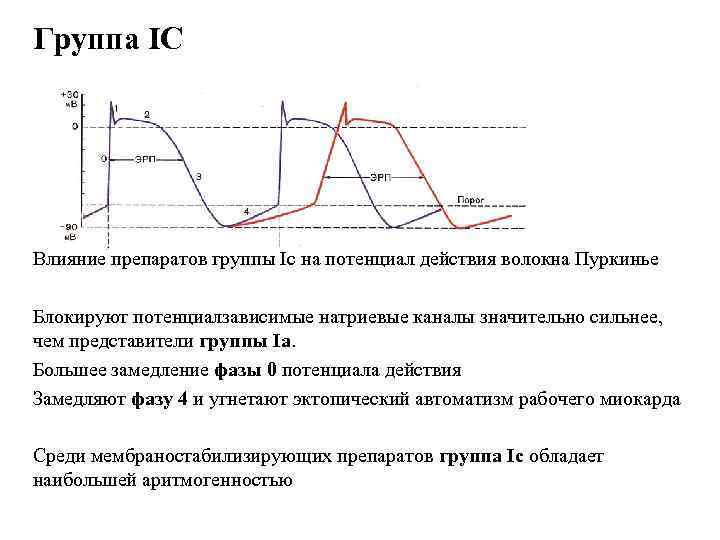 Группа IС Влияние препаратов группы Ic на потенциал действия волокна Пуркинье Блокируют потенциалзависимые натриевые