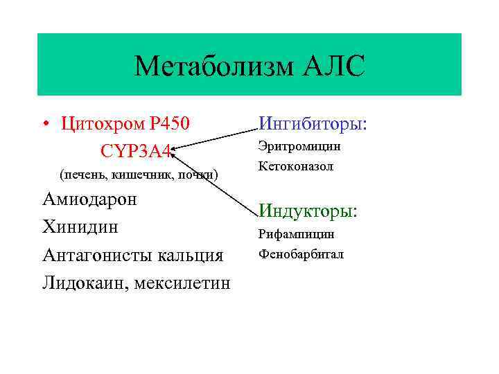 Метаболизм АЛС • Цитохром Р 450 CYP 3 A 4 (печень, кишечник, почки) Амиодарон