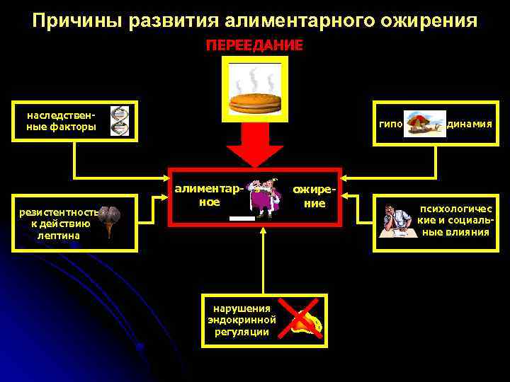 Причины развития алиментарного ожирения ПЕРЕЕДАНИЕ наследственные факторы резистентность к действию лептина гипо алиментарное нарушения