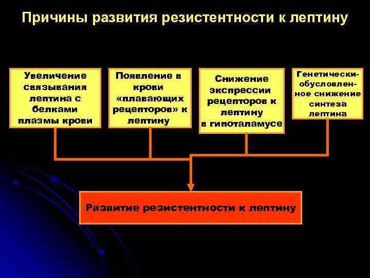 Причины развития резистентности к лептину Увеличение связывания лептина с белками плазмы крови Появление в