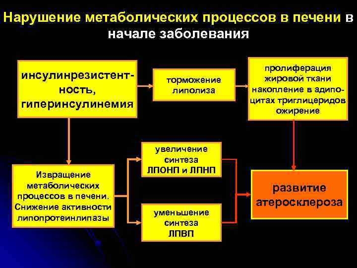 Нарушение метаболических процессов в печени в начале заболевания инсулинрезистентность, гиперинсулинемия Извращение метаболических процессов в