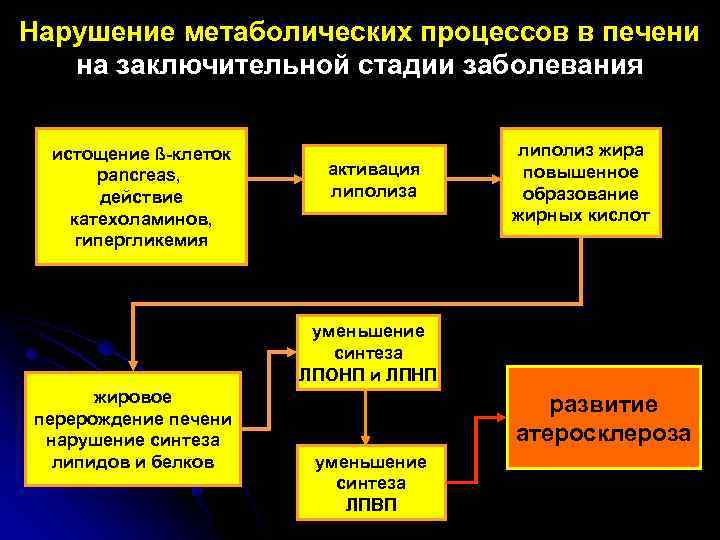 Нарушение метаболических процессов в печени на заключительной стадии заболевания истощение ß-клеток рancreas, действие катехоламинов,