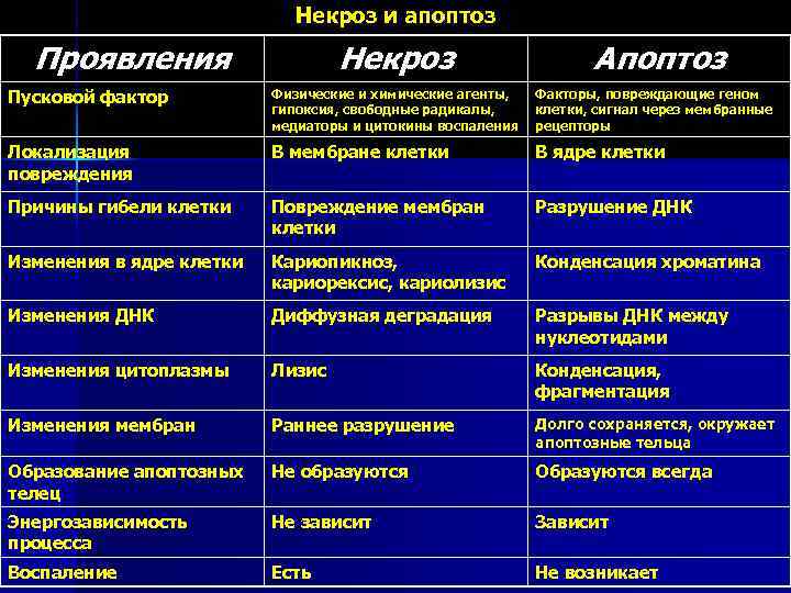 Некроз и апоптоз Проявления Некроз Апоптоз Пусковой фактор Физические и химические агенты, гипоксия, свободные