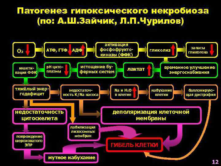 Патогенез гипоксического некробиоза (по: А. Ш. Зайчик, Л. П. Чурилов) О 2 инактивация ФФК