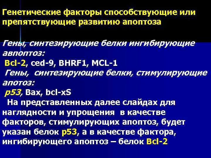 Генетические факторы способствующие или препятствующие развитию апоптоза Гены, синтезирующие белки ингибирующие авпоптоз: Bcl-2, ced-9,