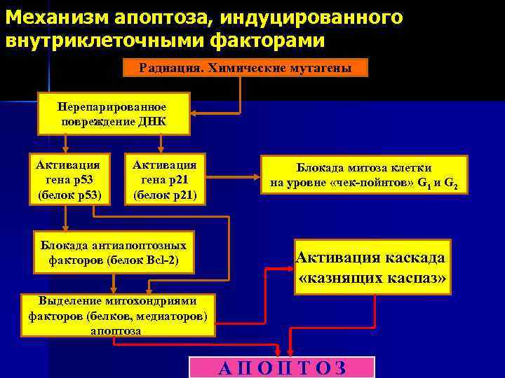 Как активировать механизмы разом геншин