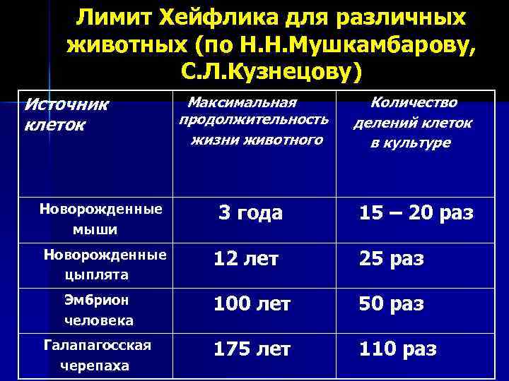 Срок жизни стали. Предел деления клеток. Количество делений клетки человека. Предел Хейфлика. Лимит Хейфлика для различных животных.