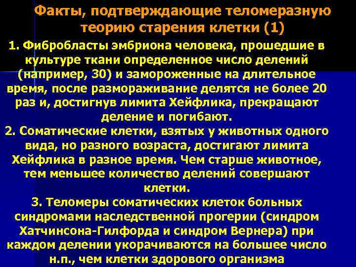 Факты, подтверждающие теломеразную теорию старения клетки (1) 1. Фибробласты эмбриона человека, прошедшие в культуре