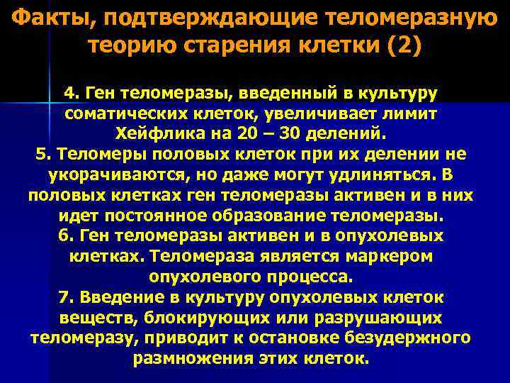 Факты, подтверждающие теломеразную теорию старения клетки (2) 4. Ген теломеразы, введенный в культуру соматических