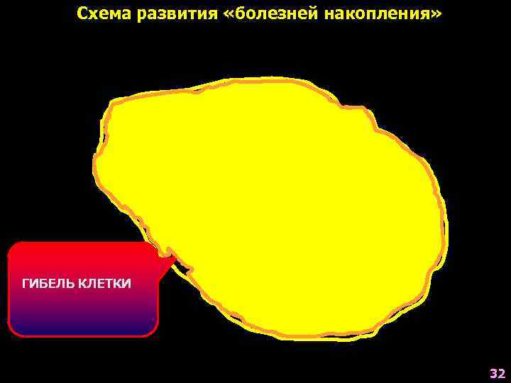 Схема развития «болезней накопления» ГЕНЕТИЧЕСКИ ОБУСЛОВЛЕННОЕ ГИБЕЛЬ КЛЕТКИ НАРУШЕНИЕ СИНТЕЗА СООТВЕТСТВУЮЩЕГО ФЕРМЕНТА ЛИЗОСОМ 32