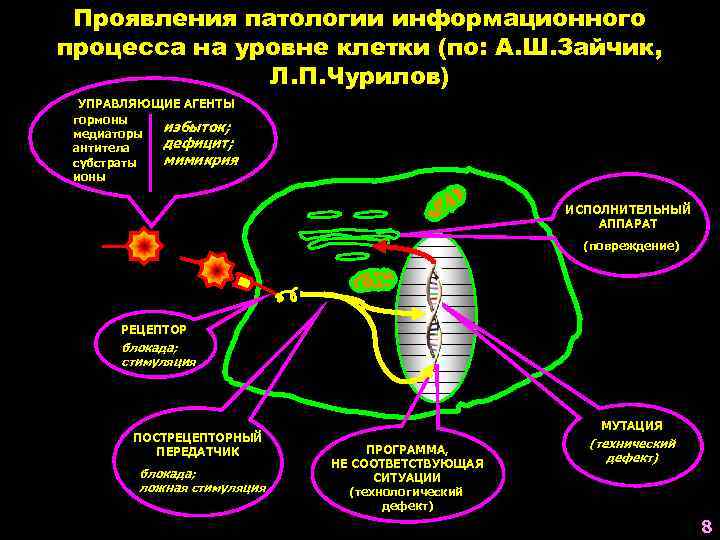 Проявления патологии информационного процесса на уровне клетки (по: А. Ш. Зайчик, Л. П. Чурилов)