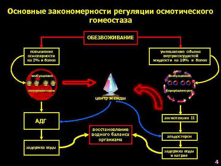 Системы обеспечивающие гомеостаз. Основные компоненты гомеостаза. Механизмы гомеостаза.