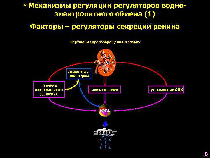 Обмен воды в почках. Регуляция секреции в почках. Механизм регуляции ад почками. Регуляция секреции ренина. Механизмы регуляции секреции в почках.