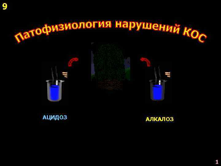9 АЦИДОЗ АЛКАЛОЗ 1 