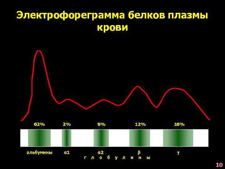 Электрофореграмма белков плазмы крови 62% 2% 8% 12% 16% альбумины 1 2 л о
