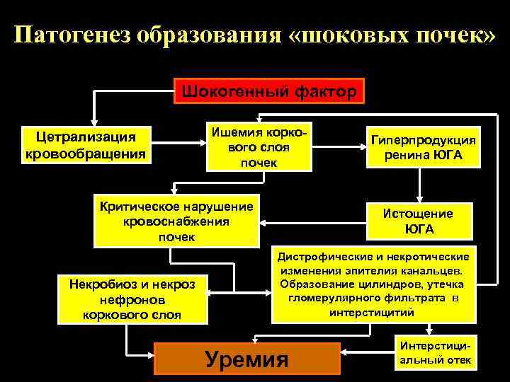 Патогенез образования «шоковых почек» Шокогенный фактор Цетрализация кровообращения Ишемия коркового слоя почек Критическое нарушение