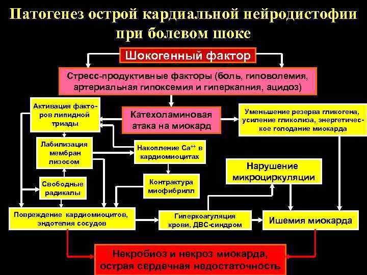 Болевой шок презентация