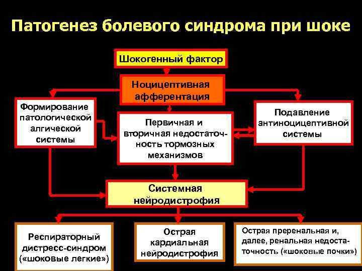Патогенез шокового болевого Патогенез болевого синдрома при шоке синдрома (по В. Ю. Шанину) Шокогенный