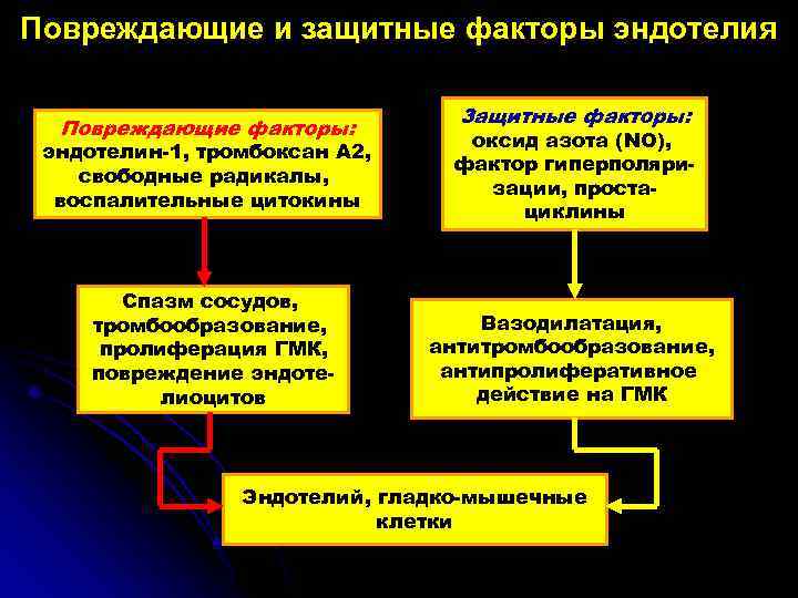 Повреждающие и защитные факторы эндотелия Повреждающие факторы: эндотелин-1, тромбоксан А 2, свободные радикалы, воспалительные