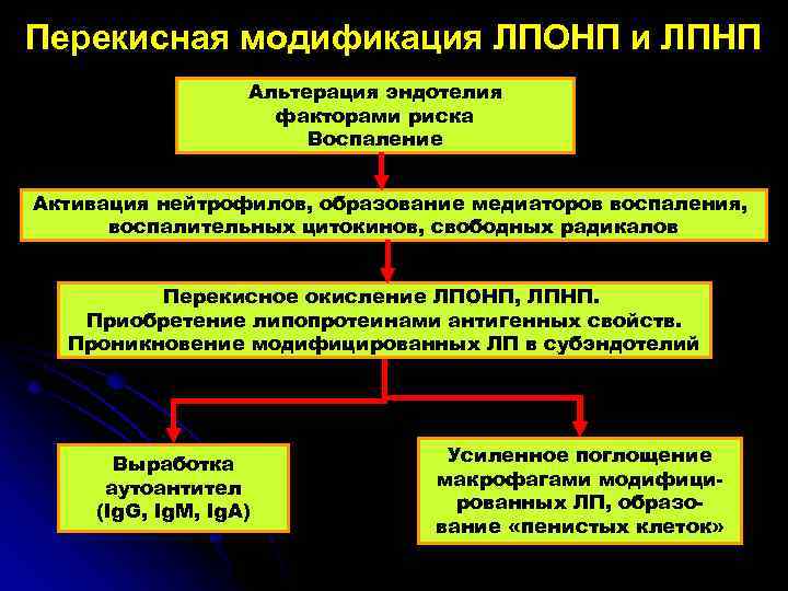 Перекисная модификация ЛПОНП и ЛПНП Альтерация эндотелия факторами риска Воспаление Активация нейтрофилов, образование медиаторов