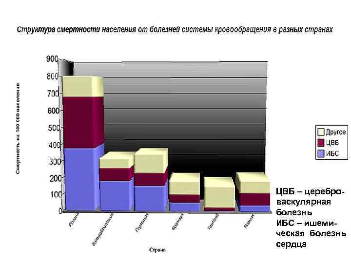 ЦВБ – цереброваскулярная болезнь ИБС – ишемическая болезнь сердца 