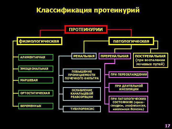 Классификация протеинурий ПРОТЕИНУРИИ физиологическая АЛИМЕНТАРНАЯ ЭМОЦИОНАЛЬНАЯ МАРШЕВАЯ ОРТОСТАТИЧЕСКАЯ БЕРЕМЕННЫХ патологическая РЕНАЛЬНАЯ ПОВЫШЕНИЕ ПРОНИЦАЕМОСТИ ПОЧЕЧНОГО