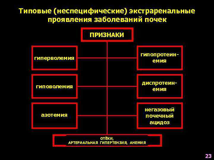 Типовые (неспецифические) экстраренальные проявления заболеваний почек ПРИЗНАКИ гиперволемия гипопротеинемия гиповолемия диспротеинемия азотемия негазовый почечный