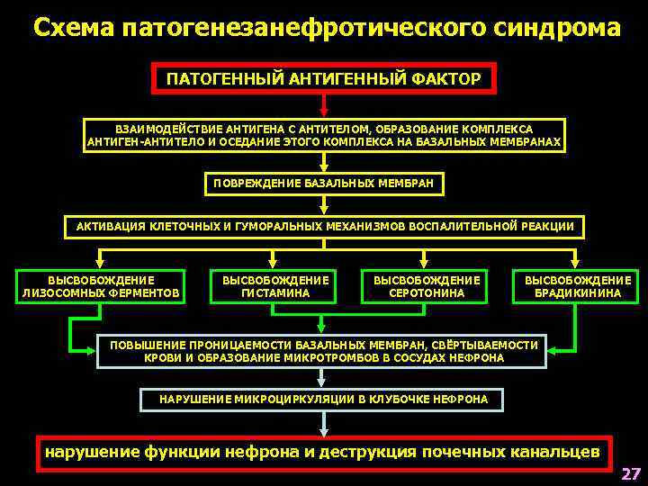 Схема патогенезанефротического синдрома ПАТОГЕННЫЙ АНТИГЕННЫЙ ФАКТОР ВЗАИМОДЕЙСТВИЕ АНТИГЕНА С АНТИТЕЛОМ, ОБРАЗОВАНИЕ КОМПЛЕКСА АНТИГЕН-АНТИТЕЛО И