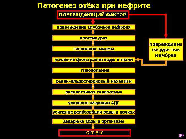 Патогенез отёка при нефрите ПОВРЕЖДАЮЩИЙ ФАКТОР повреждение клубочков нефрона протеинурия гипоонкия плазмы усиление фильтрации