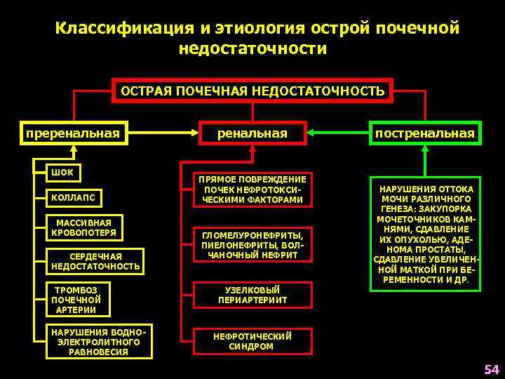 Классификация и этиология острой почечной недостаточности ОСТРАЯ ПОЧЕЧНАЯ НЕДОСТАТОЧНОСТЬ преренальная ШОК КОЛЛАПС МАССИВНАЯ КРОВОПОТЕРЯ