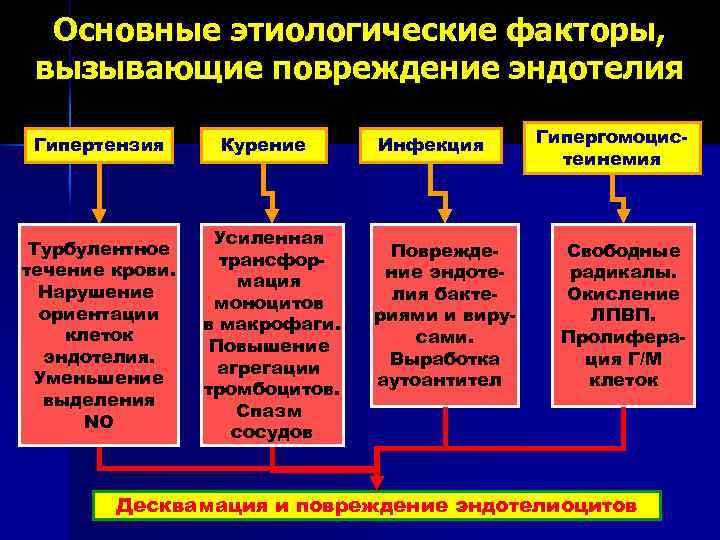 Основные этиологические факторы, вызывающие повреждение эндотелия Гипертензия Турбулентное течение крови. Нарушение ориентации клеток эндотелия.