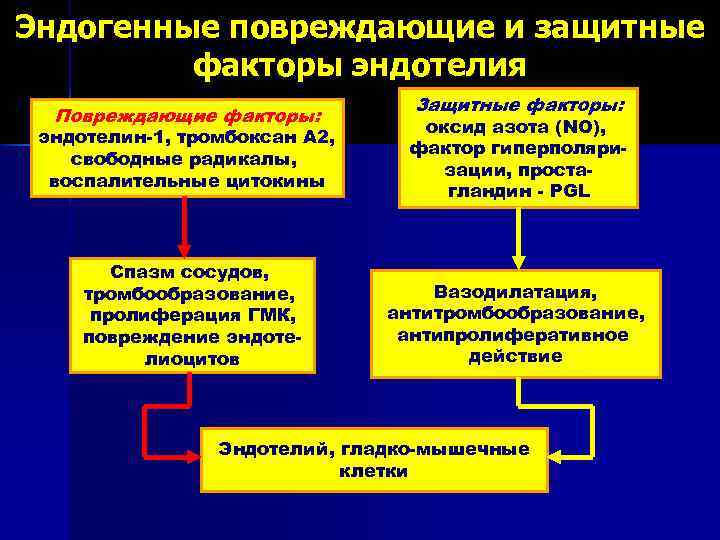 Эндогенные повреждающие и защитные факторы эндотелия Повреждающие факторы: эндотелин-1, тромбоксан А 2, свободные радикалы,