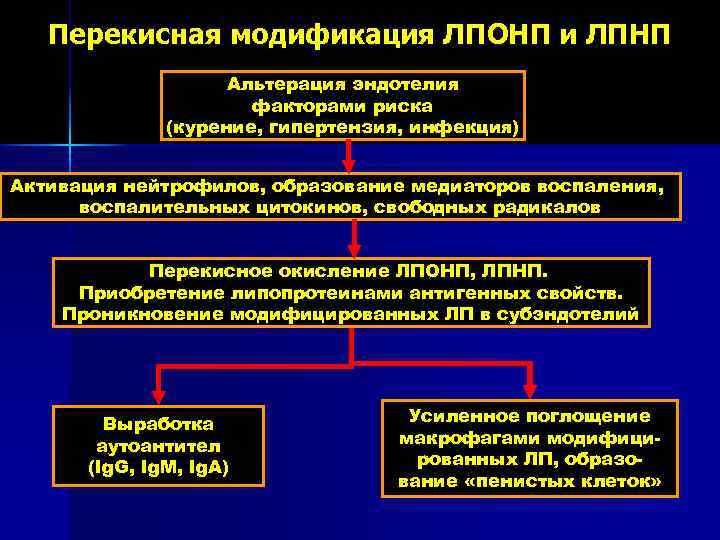 Перекисная модификация ЛПОНП и ЛПНП Альтерация эндотелия факторами риска (курение, гипертензия, инфекция) Активация нейтрофилов,