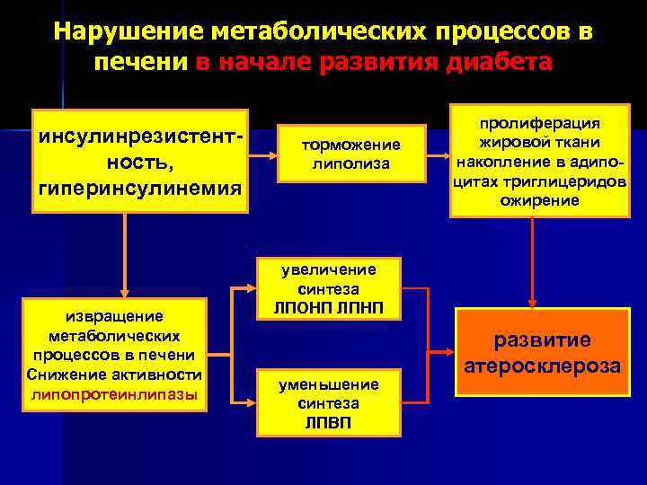 Нарушение метаболических процессов в печени в начале развития диабета инсулинрезистентность, гиперинсулинемия извращение метаболических процессов