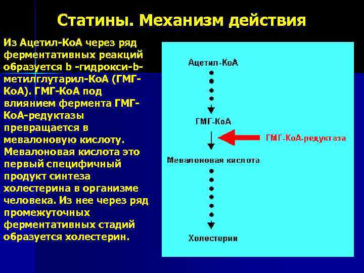 Статины. Механизм действия Из Ацетил-Ко. А через ряд ферментативных реакций образуется b -гидрокси-bметилглутарил-Ко. А