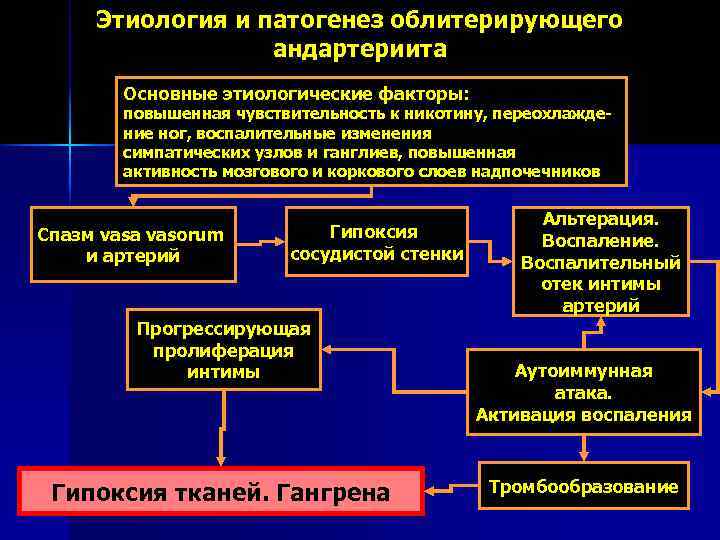 Этиология и патогенез облитерирующего андартериита Основные этиологические факторы: повышенная чувствительность к никотину, переохлаждение ног,