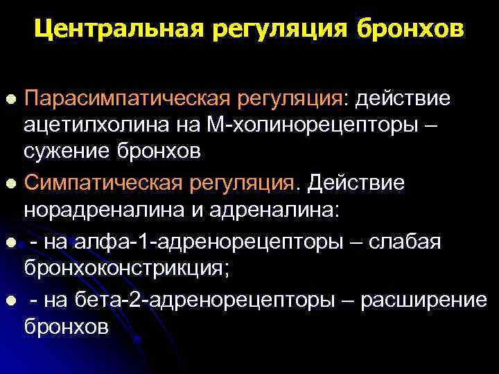 Центральная регуляция бронхов Парасимпатическая регуляция: действие ацетилхолина на М-холинорецепторы – сужение бронхов l Симпатическая