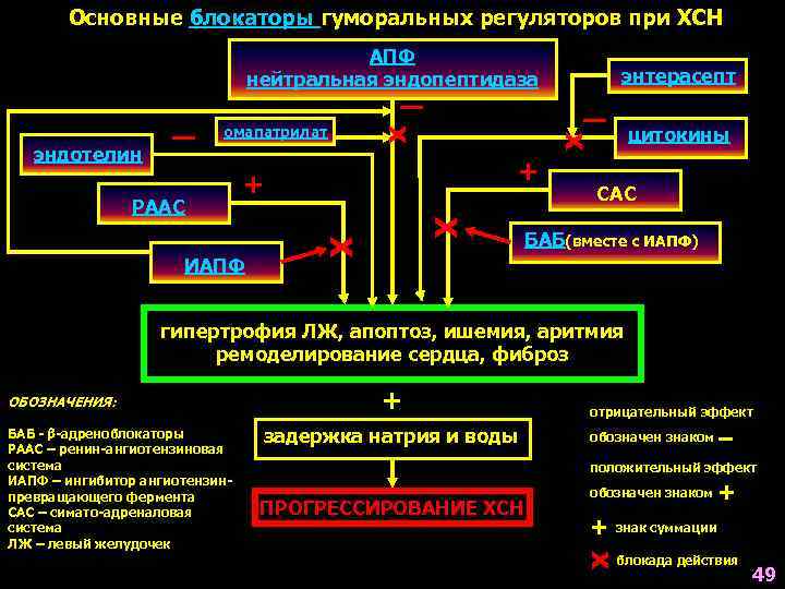 Основные блокаторы гуморальных регуляторов при ХСН АПФ нейтральная эндопептидаза + + Х ИАПФ Х