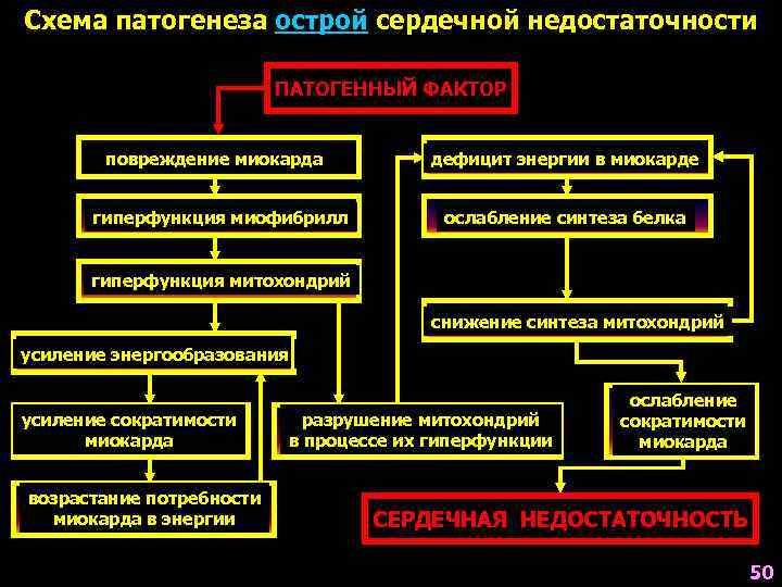 Патогенез хсн схема