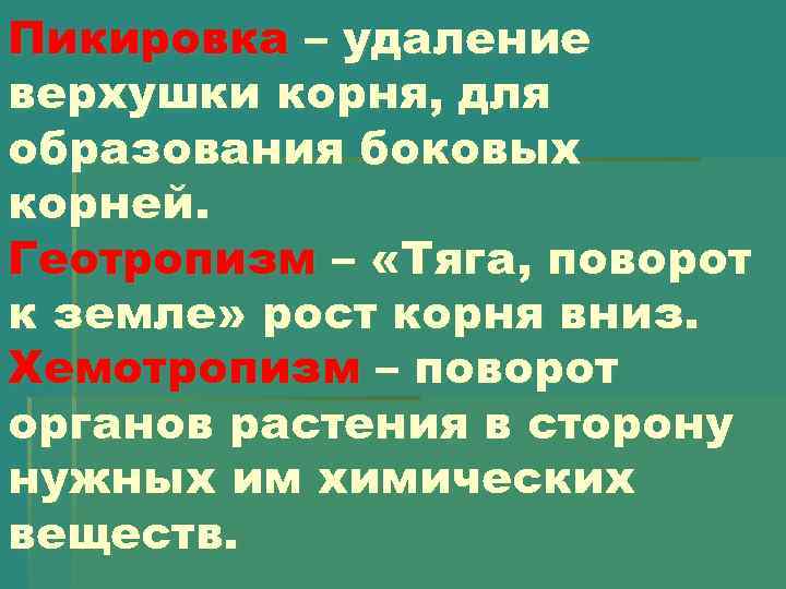 Пикировка – удаление верхушки корня, для образования боковых корней. Геотропизм – «Тяга, поворот к