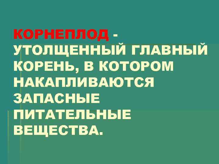 КОРНЕПЛОД УТОЛЩЕННЫЙ ГЛАВНЫЙ КОРЕНЬ, В КОТОРОМ НАКАПЛИВАЮТСЯ ЗАПАСНЫЕ ПИТАТЕЛЬНЫЕ ВЕЩЕСТВА. 