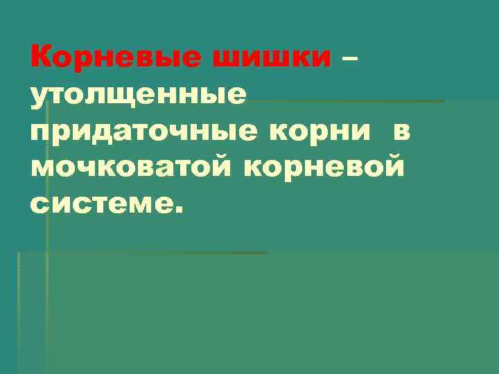 Корневые шишки – утолщенные придаточные корни в мочковатой корневой системе. 