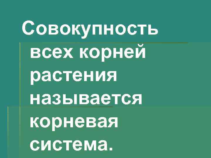 Совокупность всех корней растения называется корневая система. 