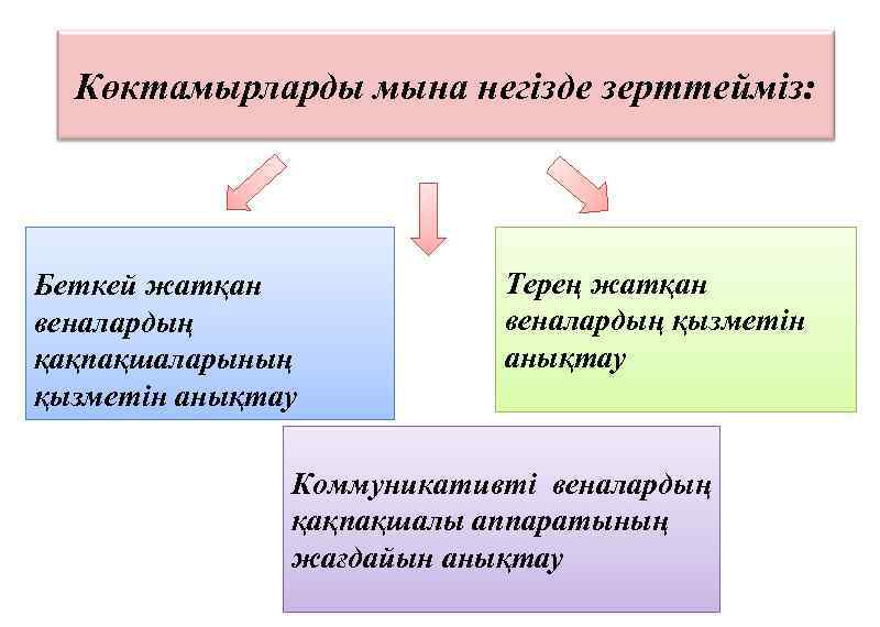 Көктамырларды мына негізде зерттейміз: Беткей жатқан веналардың қақпақшаларының қызметін анықтау Терең жатқан веналардың қызметін