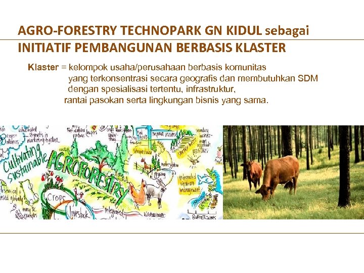 AGRO-FORESTRY TECHNOPARK GN KIDUL sebagai INITIATIF PEMBANGUNAN BERBASIS KLASTER Klaster = kelompok usaha/perusahaan berbasis
