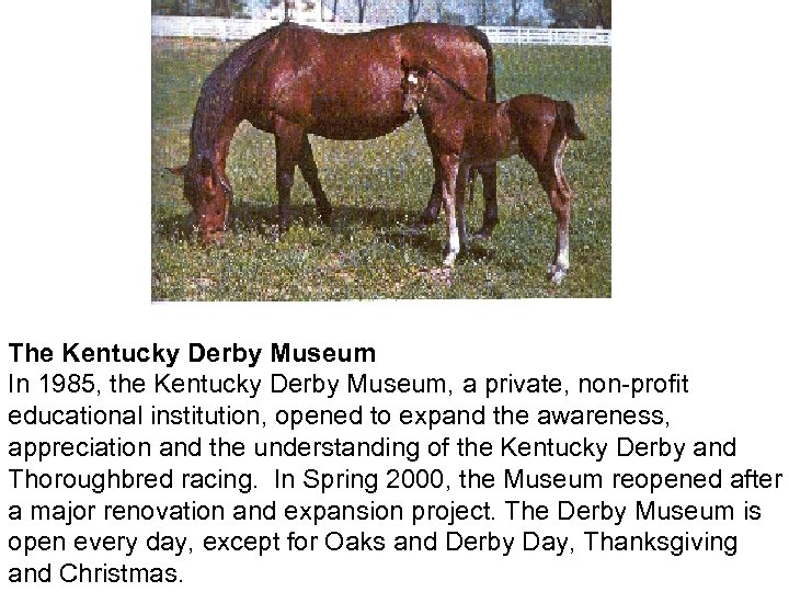 The Kentucky Derby Museum In 1985, the Kentucky Derby Museum, a private, non-profit educational