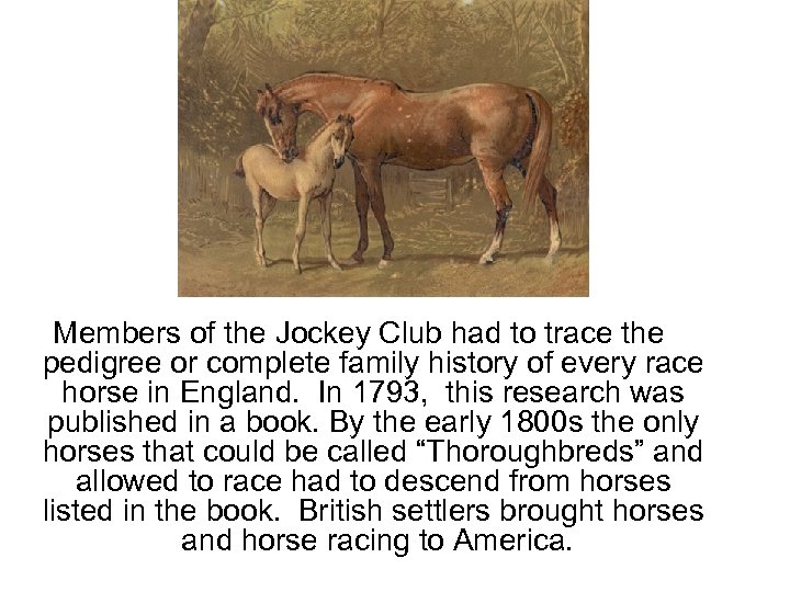 Members of the Jockey Club had to trace the pedigree or complete family history